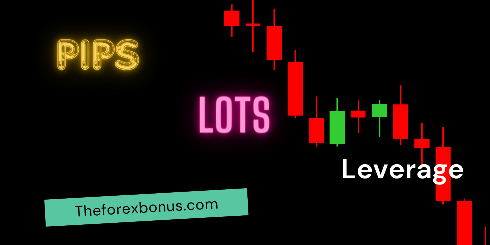 Pips, Lots, and Leverage in Forex Trading